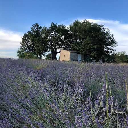 Cabanon Du Berger Villa Сеньон Екстериор снимка